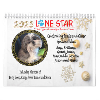 LSSTLAR-Kalender 2023 Kalender