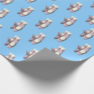 Lt Pink Ballerina Shoes En Pointe FL Sky Blue BG Geschenkpapier