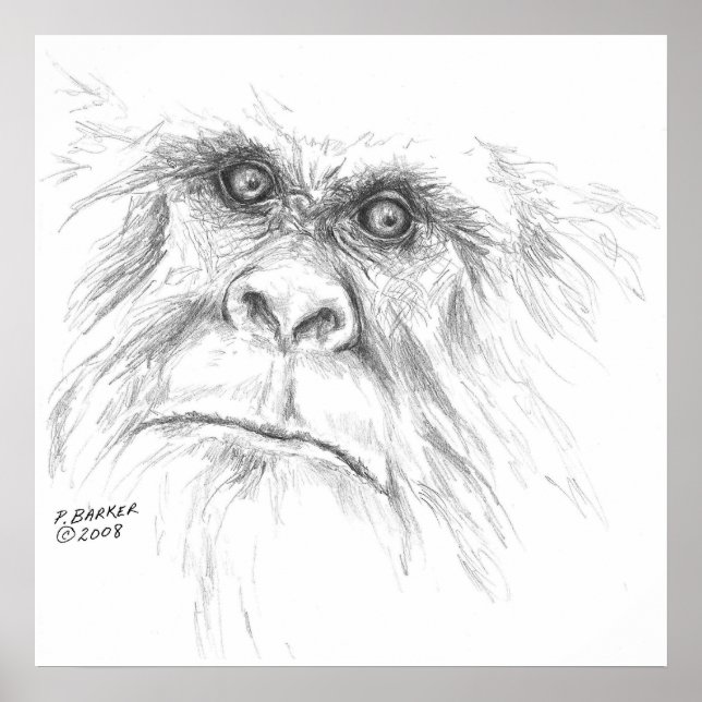 LTB-Poster Poster (Vorne)