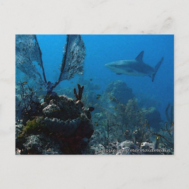 Ltd Edition Bahamian Reef Sharks Postkarte (Vorderseite)