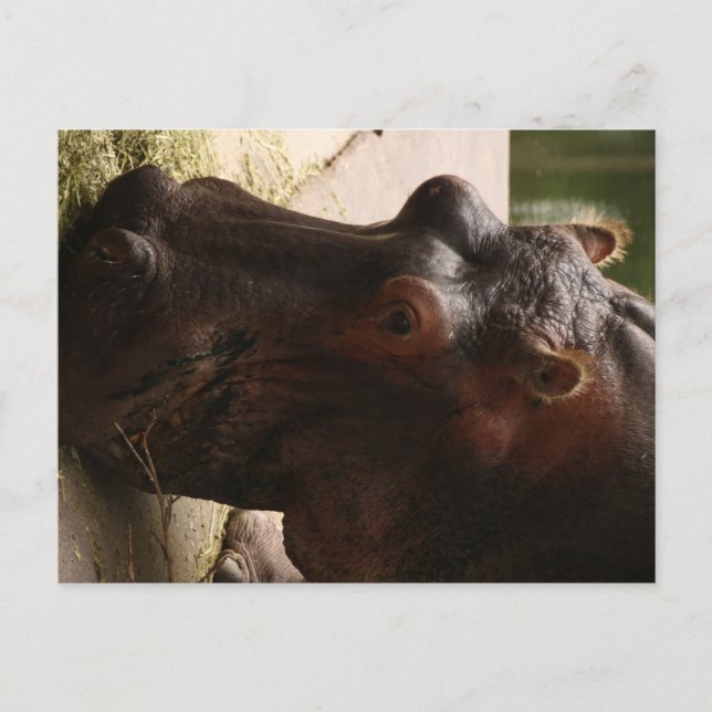 Lu Postkarte (Vorderseite)