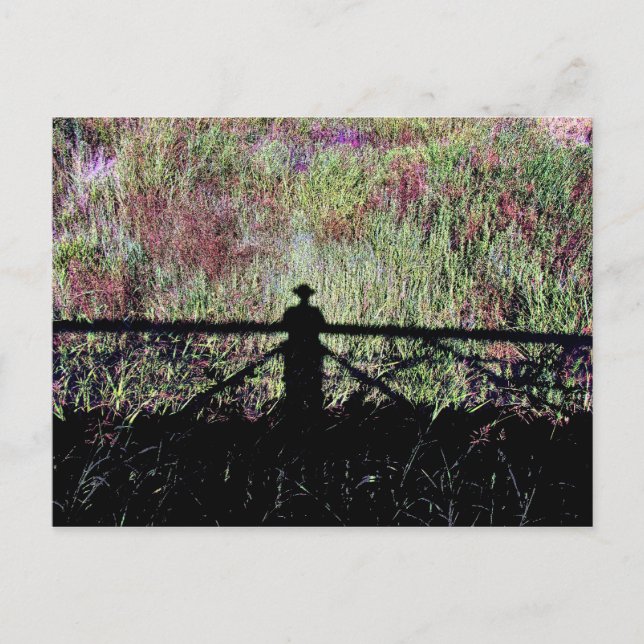 Lubbock Lake Sehenswürdigkeit Postkarte (Vorderseite)