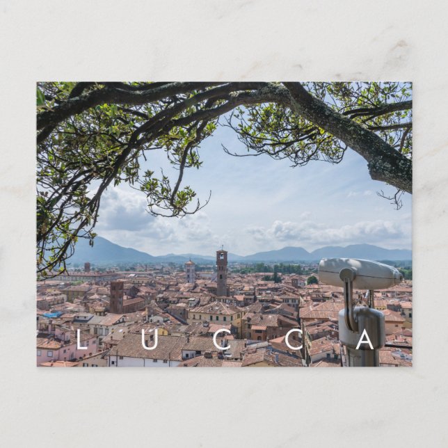 Lucca-Dächer Aussicht Postkarte (Vorderseite)