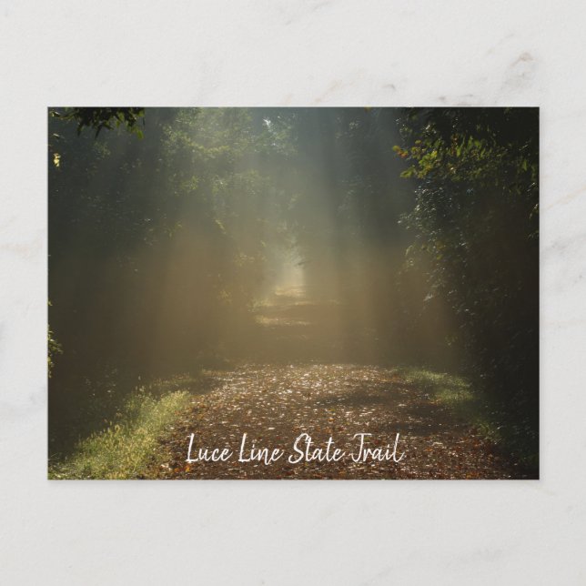 Luce Line Staat Locarno Postkarte (Vorderseite)