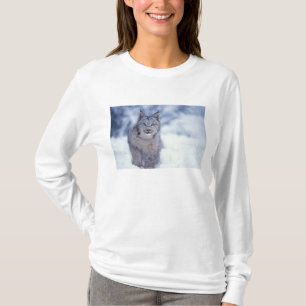 Luchs im Schnee am Fuße der Berge T-Shirt