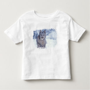 Luchs im Schnee im Vorland Kleinkind T-shirt