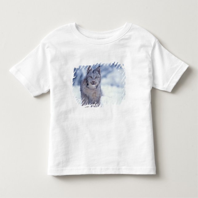 Luchs im Schnee im Vorland Kleinkind T-shirt (Vorderseite)