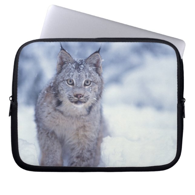 Luchs im Schnee im Vorland Laptopschutzhülle (Vorderseite)