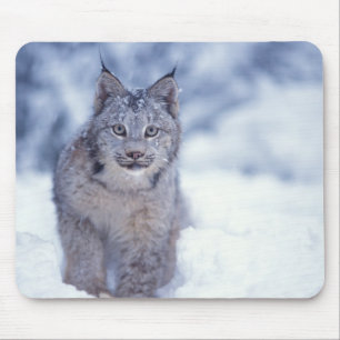 Luchs im Schnee im Vorland Mousepad