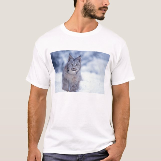 Luchs im Schnee im Vorland T-Shirt (Vorderseite)