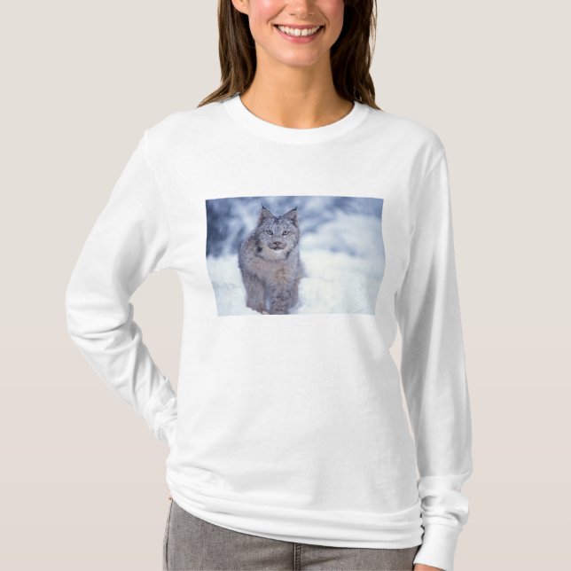 Luchs im Schnee im Vorland T-Shirt (Vorderseite)
