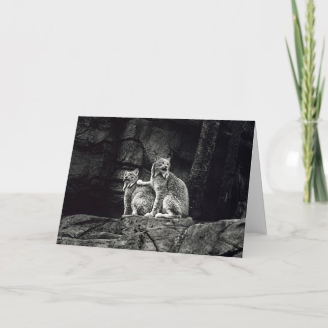 Luchs Karte (Vorderseite)