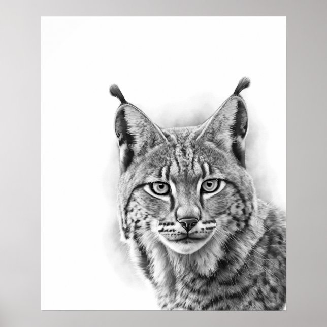 Luchs‑Katzen‑Skizzen Poster (Vorne)
