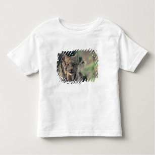 Luchs, Luchs canadensis, Denali Nationalpark, Kleinkind T-shirt