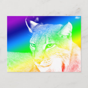 Luchs Regenbogen Highlights Postkarte