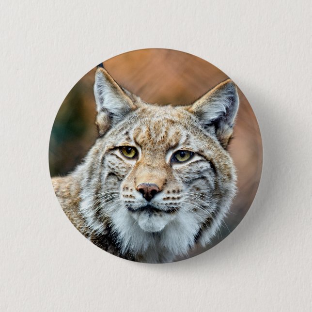 Luchs-Rotluchs-Tier-Fleischfresser-Katze Button (Vorderseite)