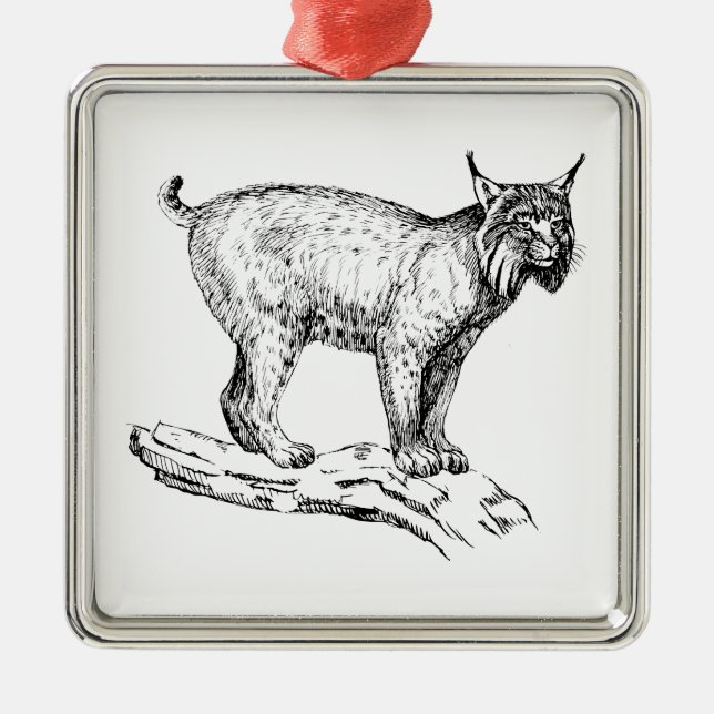 Luchs Silbernes Ornament (Vorne)