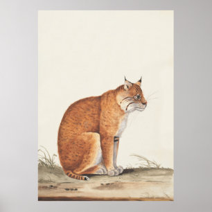 Luchs Vintage Naturkatze - Malerei Poster