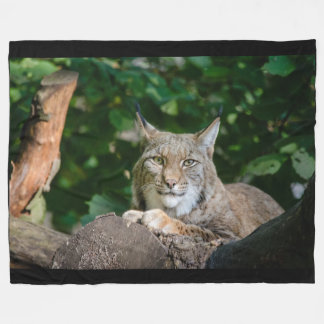 Luchs-Wildkatze auf Fleece-Decke Fleecedecke