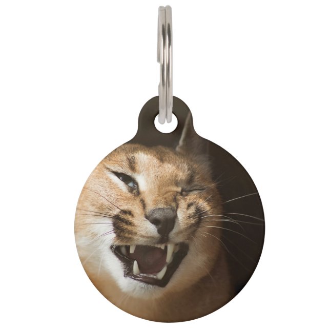 Luchsiger Luchs Haustiermarke (Vorderseite)