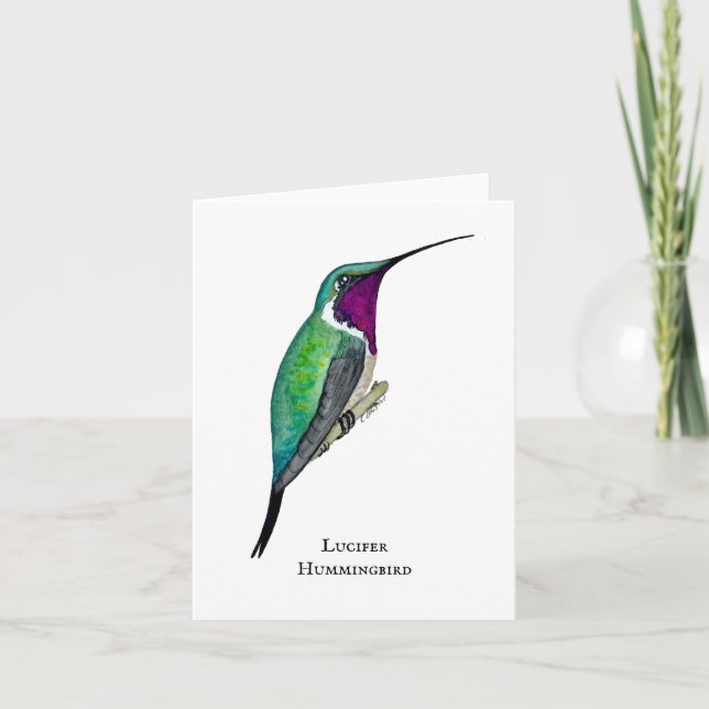 Lucifer Hummingbird Dankeskarte (Vorderseite)