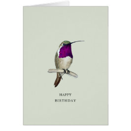 Lucifer Hummingbird Happy Birthday Card