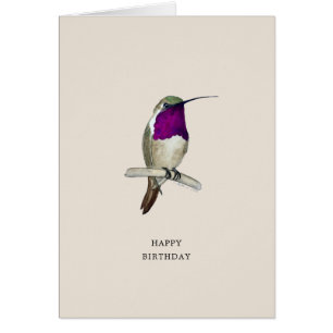Lucifer Hummingbird Happy Birthday Card