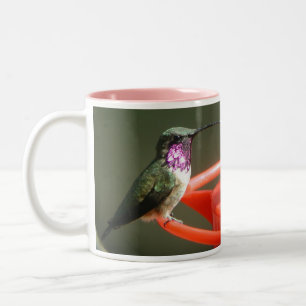 Lucifer Kolibri-Tasse, verlassene-behandelt Zweifarbige Tasse