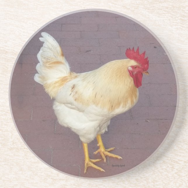 Lucis Roosters White Rooster Stone Untersetzer (Vorne)
