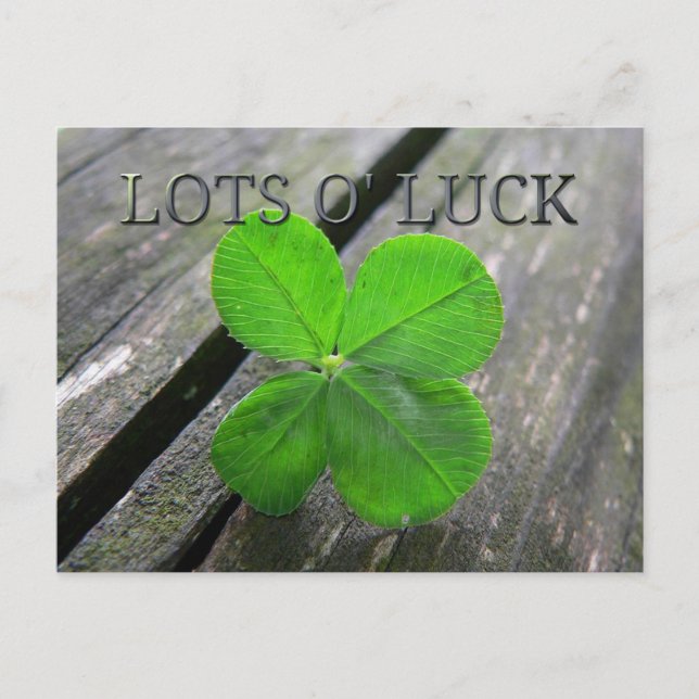 Lucky 4 Blatt Klee Postkarte (Vorderseite)