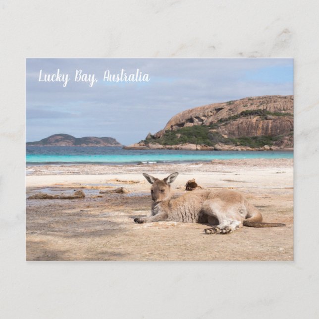 Lucky Bay Beach Kangaroo, Australien Postcard Postkarte (Vorderseite)