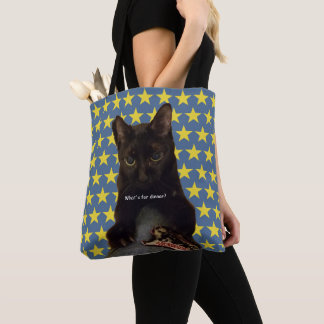 Lucky Black Cat w/stars 2way