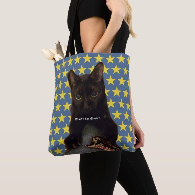 Lucky Black Cat w/stars 2way (Von Nahem)