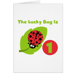 Lucky Bug 1. Geburtstag T - Shirt und Geschenke