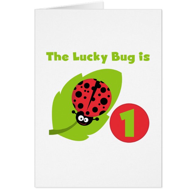 Lucky Bug 1. Geburtstag T - Shirt und Geschenke (Vorne)