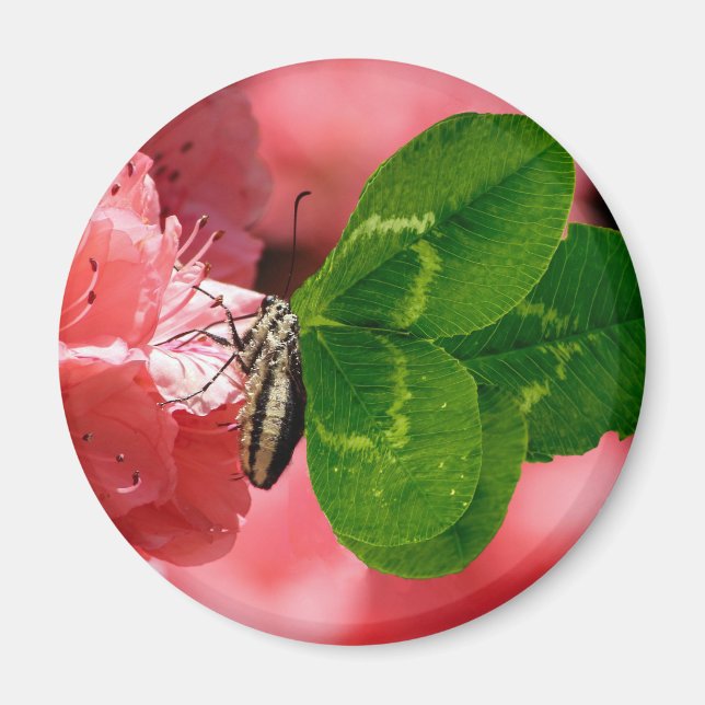 Lucky Butterfly Magnet (Vorne)