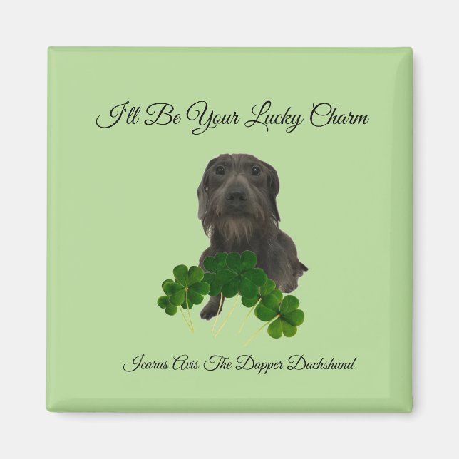 Lucky Charm Magnet (Vorne)