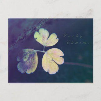 Lucky Charm Postcard Postkarte