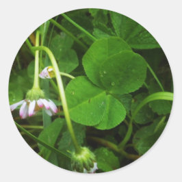 Lucky Charm Runder Aufkleber