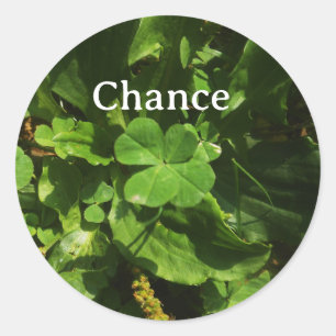 Lucky Charm Sticker - Four Leaf Clover