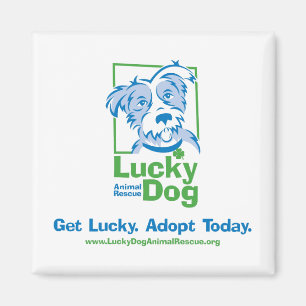 Lucky Dog "Adoptier Today" Magnet