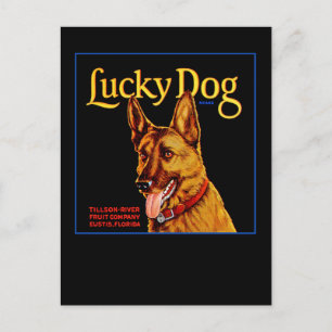 Lucky Dog Postkarte