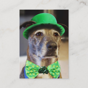 Lucky Dog Visitenkarte