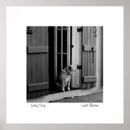Lucky Dog von Linda Becker FotoArt Poster