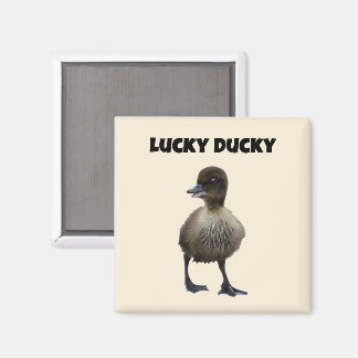 Lucky Duck Funny Niedlich Duckling Bird Foto Art Magnet