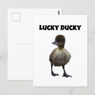Lucky Duck Funny Niedlich Duckling Bird Foto Art Postkarte