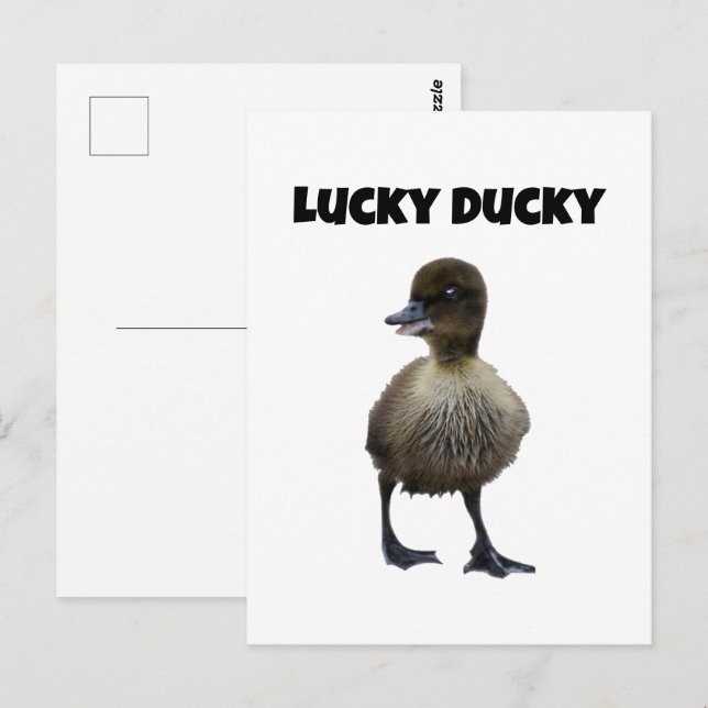 Lucky Duck Funny Niedlich Duckling Bird Foto Art Postkarte (Vorne/Hinten)