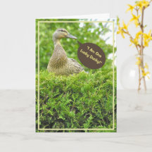 LUCKY DUCKY/GOT SIE FÜR EINEN VATER/DUCK AUF DER H