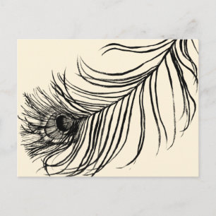 LUCKY FEATHER Fotos Postkarte