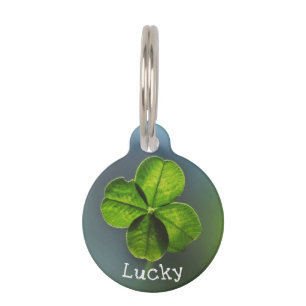 Lucky Green Vierblättriges Kleeblatt Haustiermarke